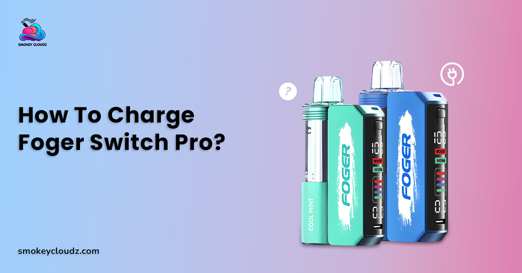 How to Charge Foger Switch Pro Safely & Extend its Battery Life?