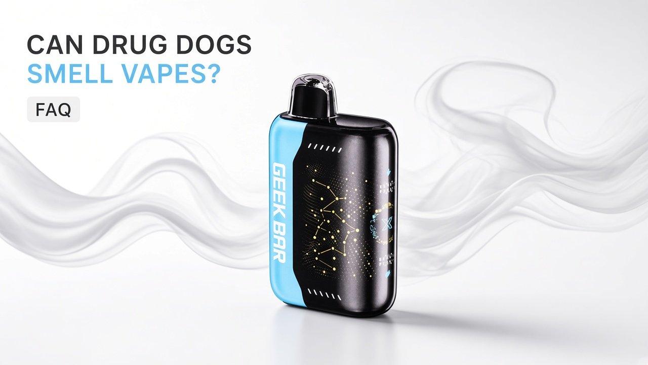 Can Drug Dogs Smell Vapes?