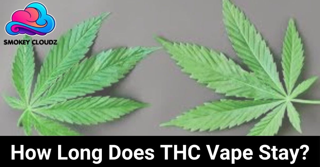 How Long Does THC Vape Stay in Your System? Here's the Science Behind It