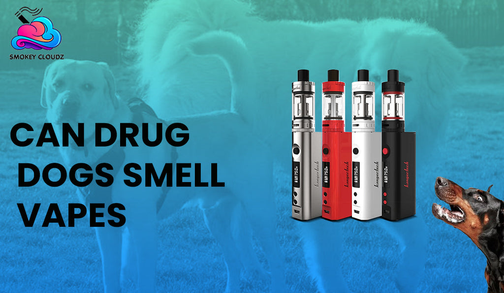 Can Drug Dogs Smell Vapes During TSA Checks Or School Searches?
