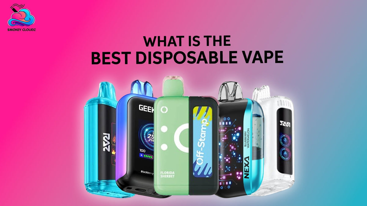 What Is The Best Disposable Vape?
