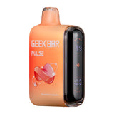 Geek Bar Pulse Disposable Vape | 15000 Puffs